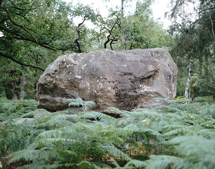 http://www.constanzapiaggio.com/web/new/files/gimgs/39_001-001.jpg