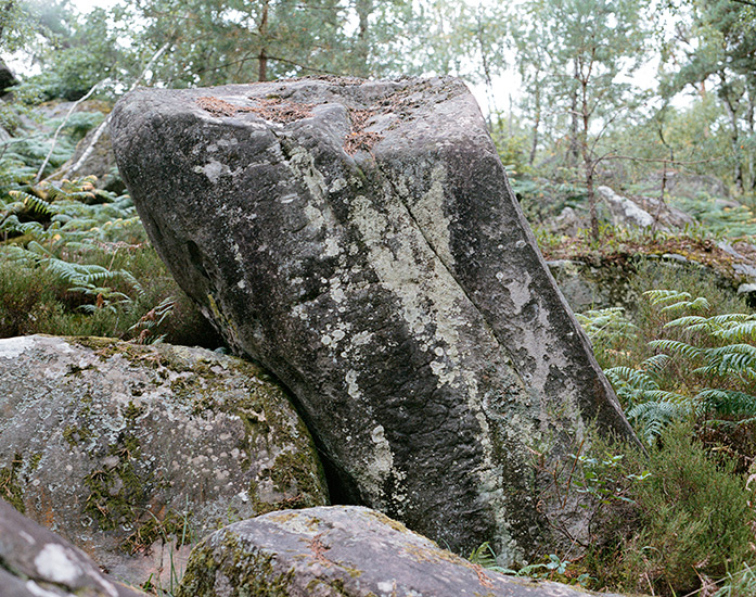 http://www.constanzapiaggio.com/web/new/files/gimgs/39_001-002.jpg