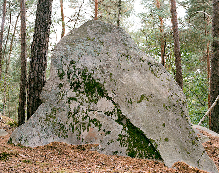 http://www.constanzapiaggio.com/web/new/files/gimgs/39_001-0033.jpg
