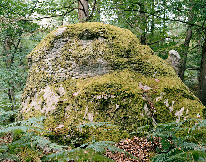 http://www.constanzapiaggio.com/web/new/files/gimgs/39_001-0044.jpg