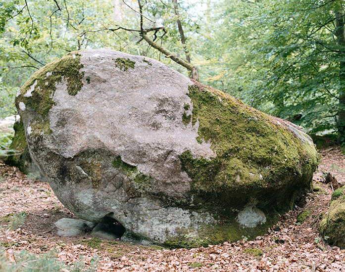 http://www.constanzapiaggio.com/web/new/files/gimgs/39_001-0055.jpg