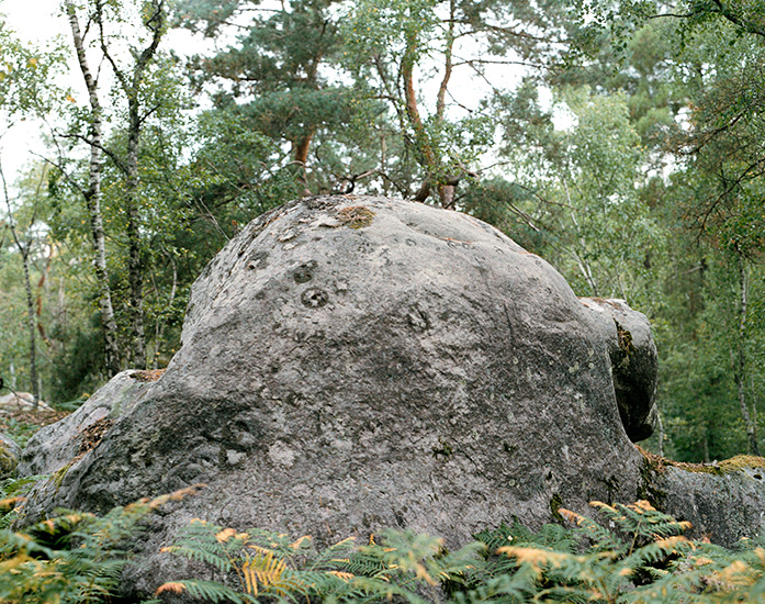 http://www.constanzapiaggio.com/web/new/files/gimgs/39_001-005_v2.jpg