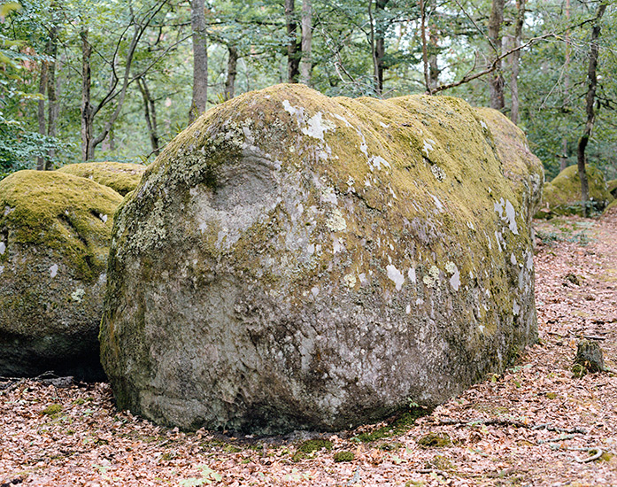 http://www.constanzapiaggio.com/web/new/files/gimgs/39_001-0066.jpg