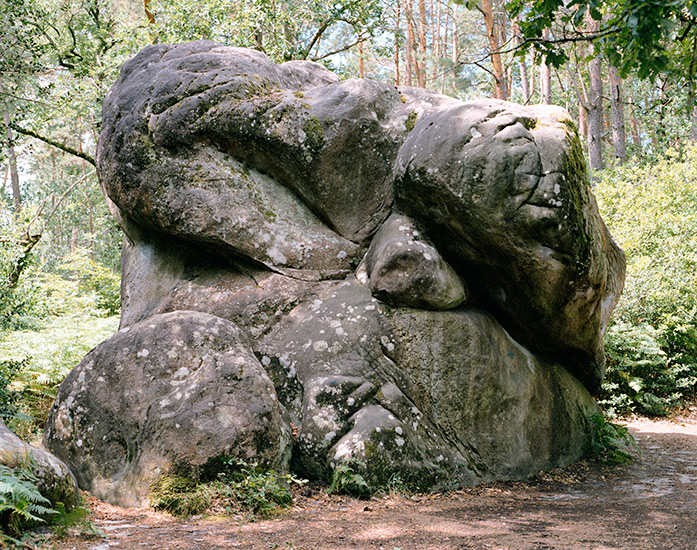 http://www.constanzapiaggio.com/web/new/files/gimgs/39_001-007.jpg