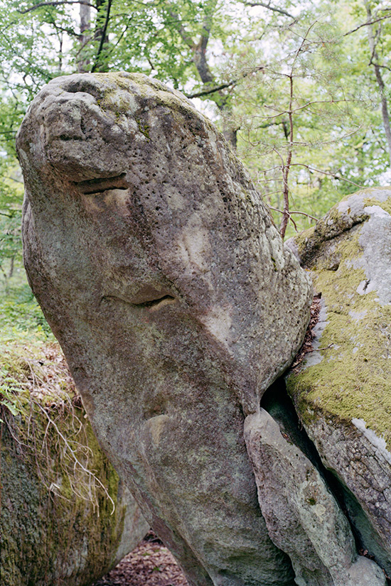 http://www.constanzapiaggio.com/web/new/files/gimgs/39_06v2a.jpg