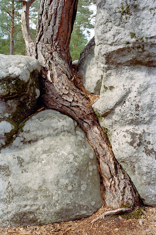 http://www.constanzapiaggio.com/web/new/files/gimgs/39_07a.jpg