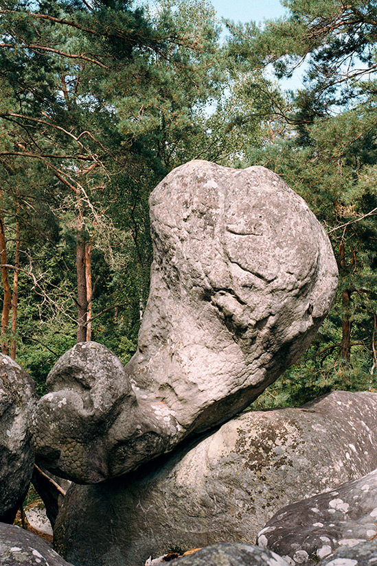 http://www.constanzapiaggio.com/web/new/files/gimgs/39_60x40.jpg
