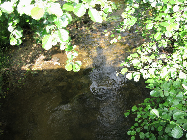 http://www.constanzapiaggio.com/web/new/files/gimgs/9_sombra-40x30.jpg