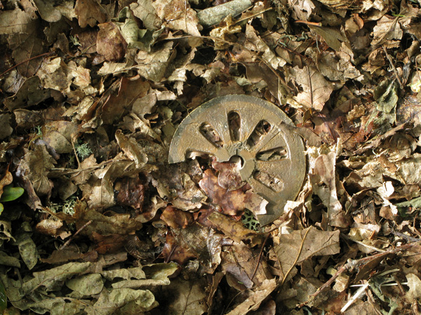 http://www.constanzapiaggio.com/web/new/files/gimgs/9_truc-40x30.jpg