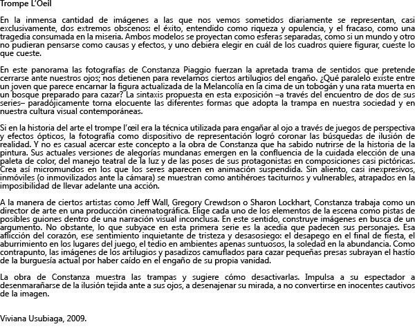 https://www.constanzapiaggio.com/web/new/files/gimgs/11_txt-spanish.gif