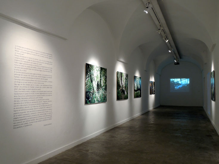 https://www.constanzapiaggio.com/web/new/files/gimgs/18_dscn0474b.jpg