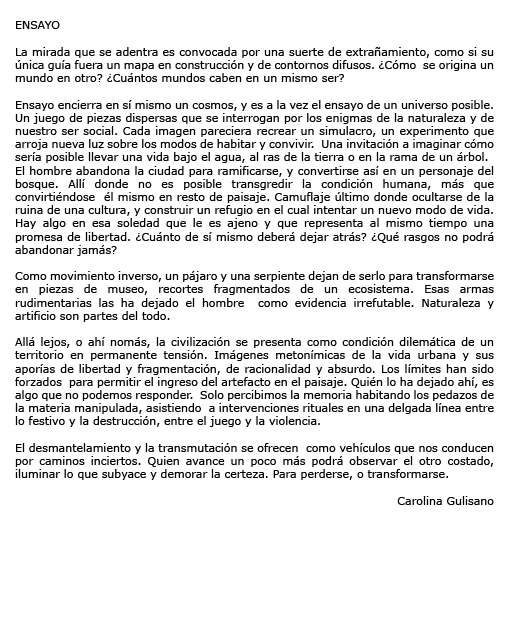 https://www.constanzapiaggio.com/web/new/files/gimgs/18_ensay01.gif