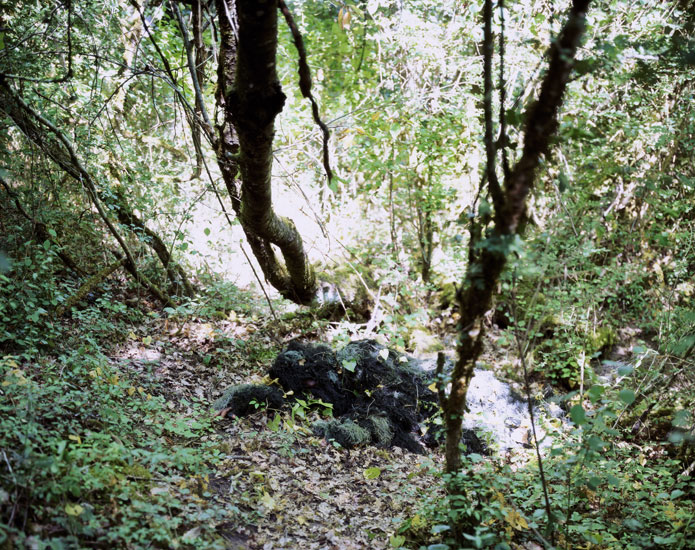 https://www.constanzapiaggio.com/web/new/files/gimgs/18_walden1.jpg
