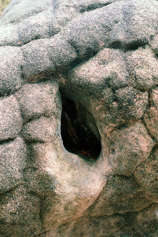 https://www.constanzapiaggio.com/web/new/files/gimgs/38_serie-echosans-titre3constanzapiaggio.jpg
