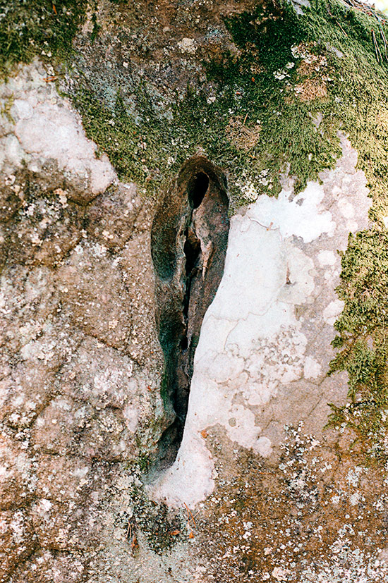 https://www.constanzapiaggio.com/web/new/files/gimgs/38_serie-echosans-titre8constanzapiaggio.jpg