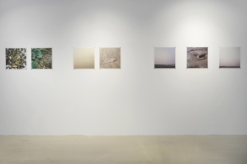 https://www.constanzapiaggio.com/web/new/files/gimgs/41_photos-installation.jpg